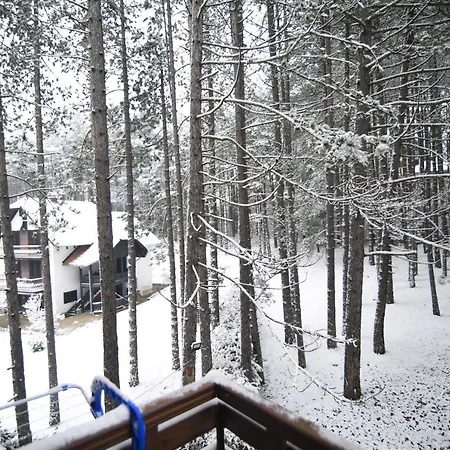 Appartement Darija Lux