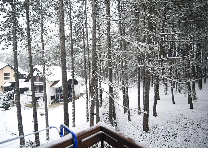 Apartament Darija Lux